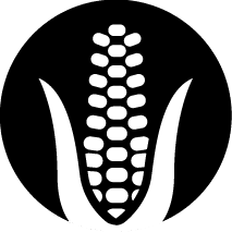 зернова кукурудза